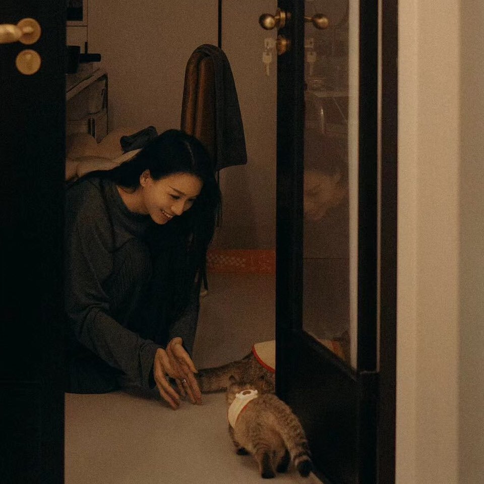 谷德猫猫妮