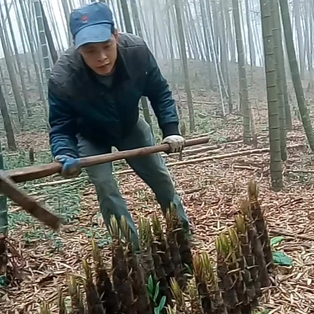 乡野农人黄哥