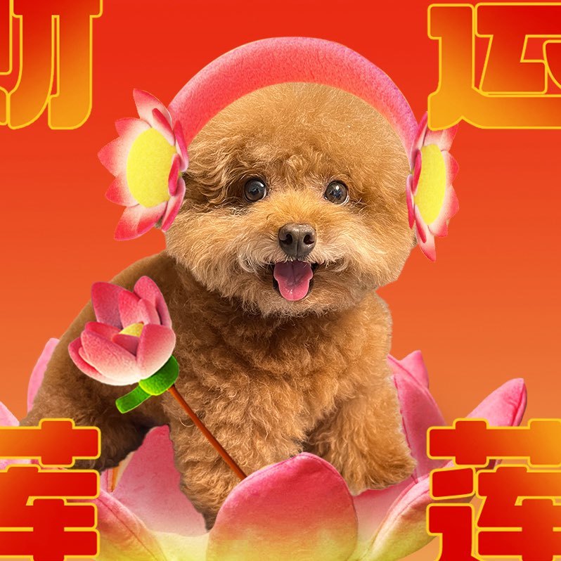 王多多在此