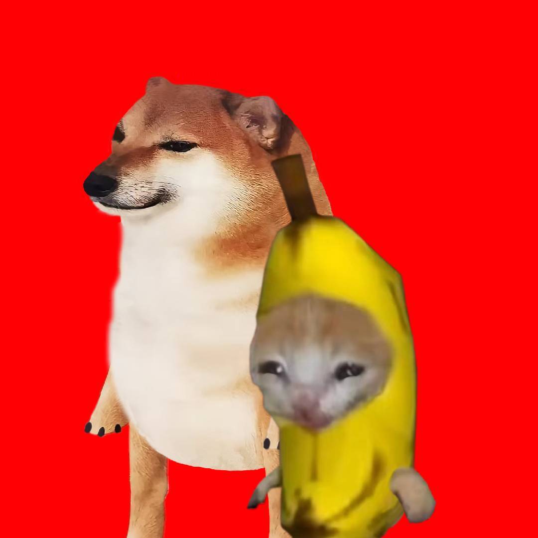 香蕉猫与cheems小剧场