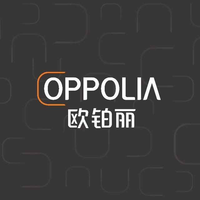 欧铂丽全案定制