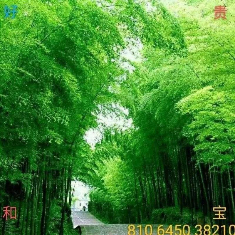 用戶頭像