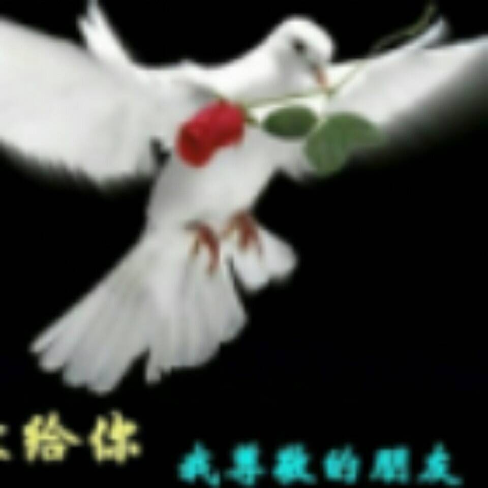 用戶頭像