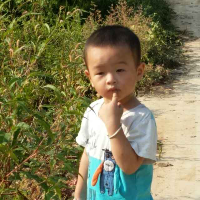 仔仔的头像
