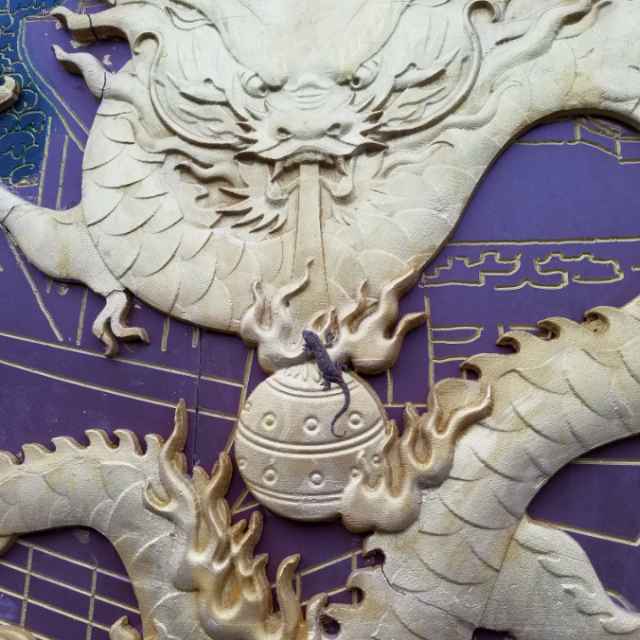 静谧之心