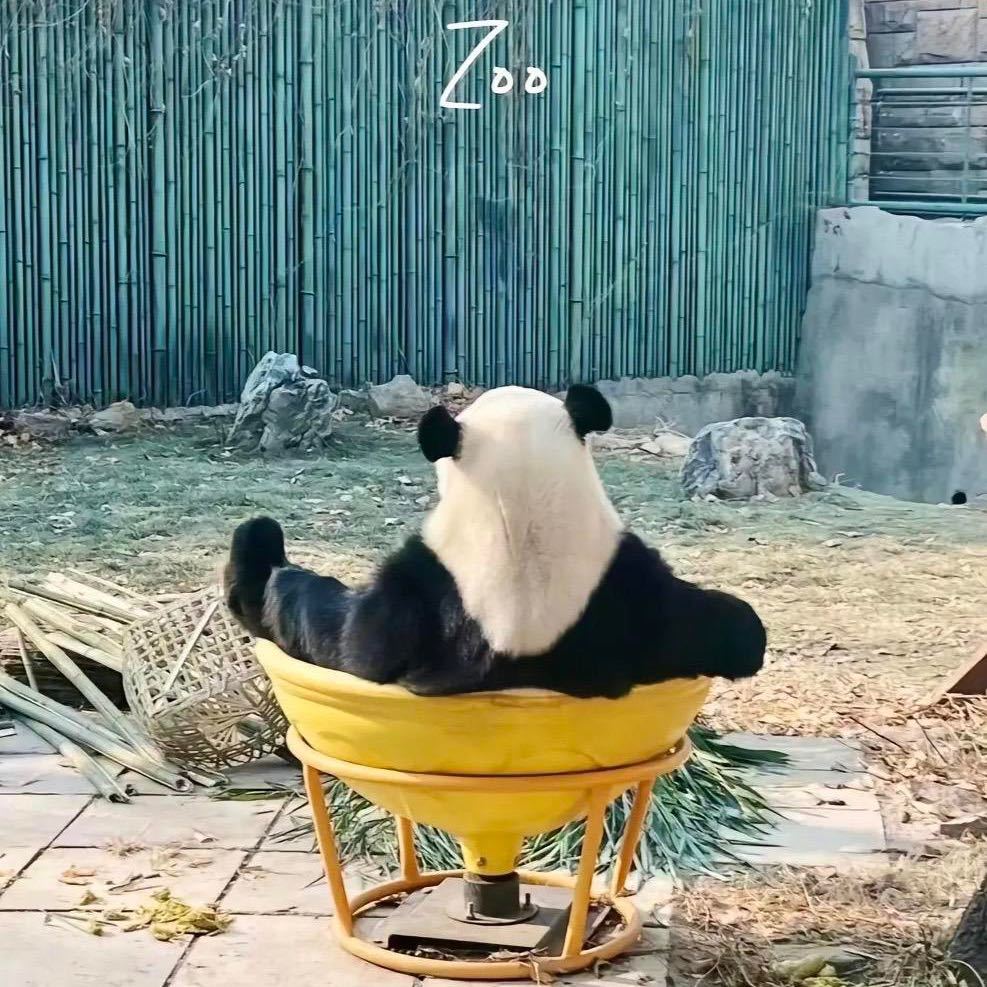 用戶頭像