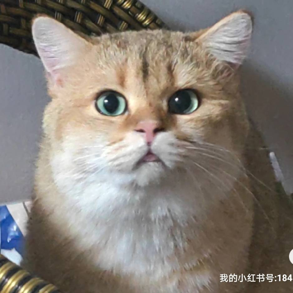 用戶(hù)頭像