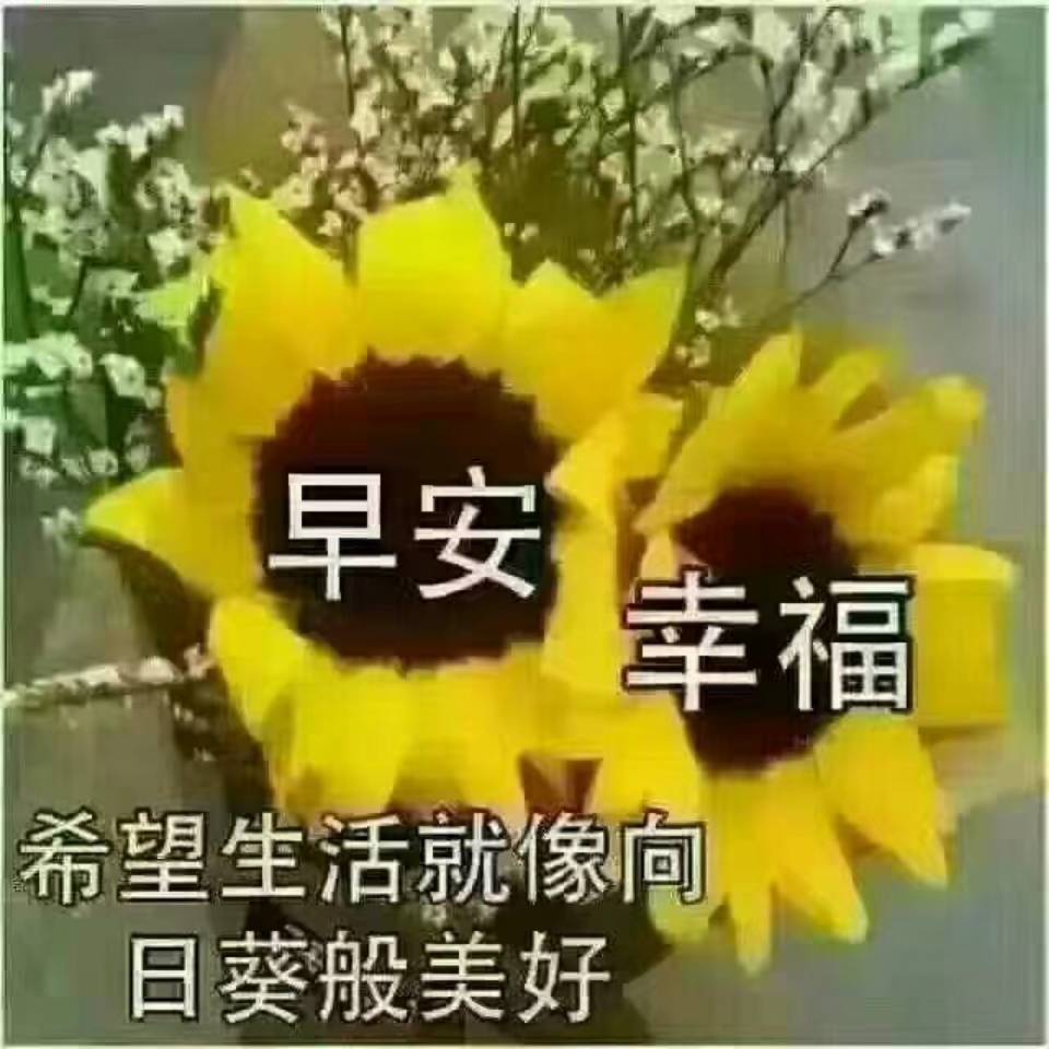 用戶(hù)頭像