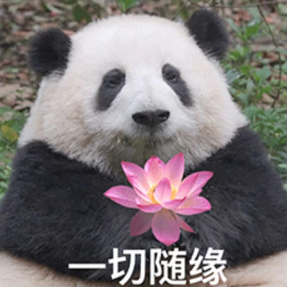 用戶頭像