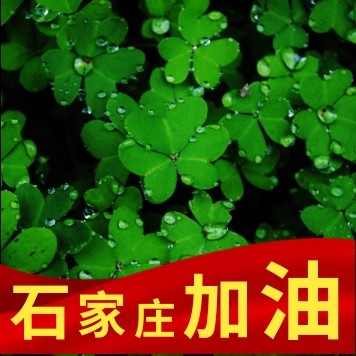 用戶頭像