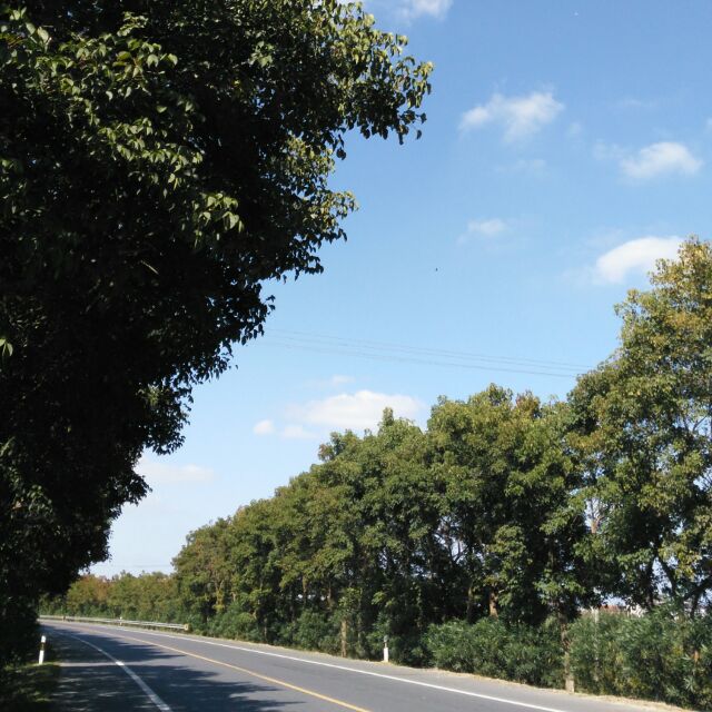 用戶頭像