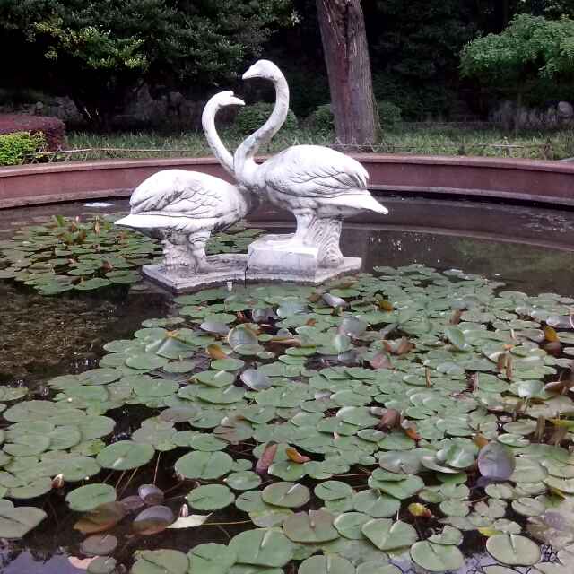 笑口常开