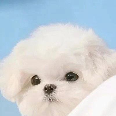 用戶頭像