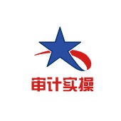 审计实操