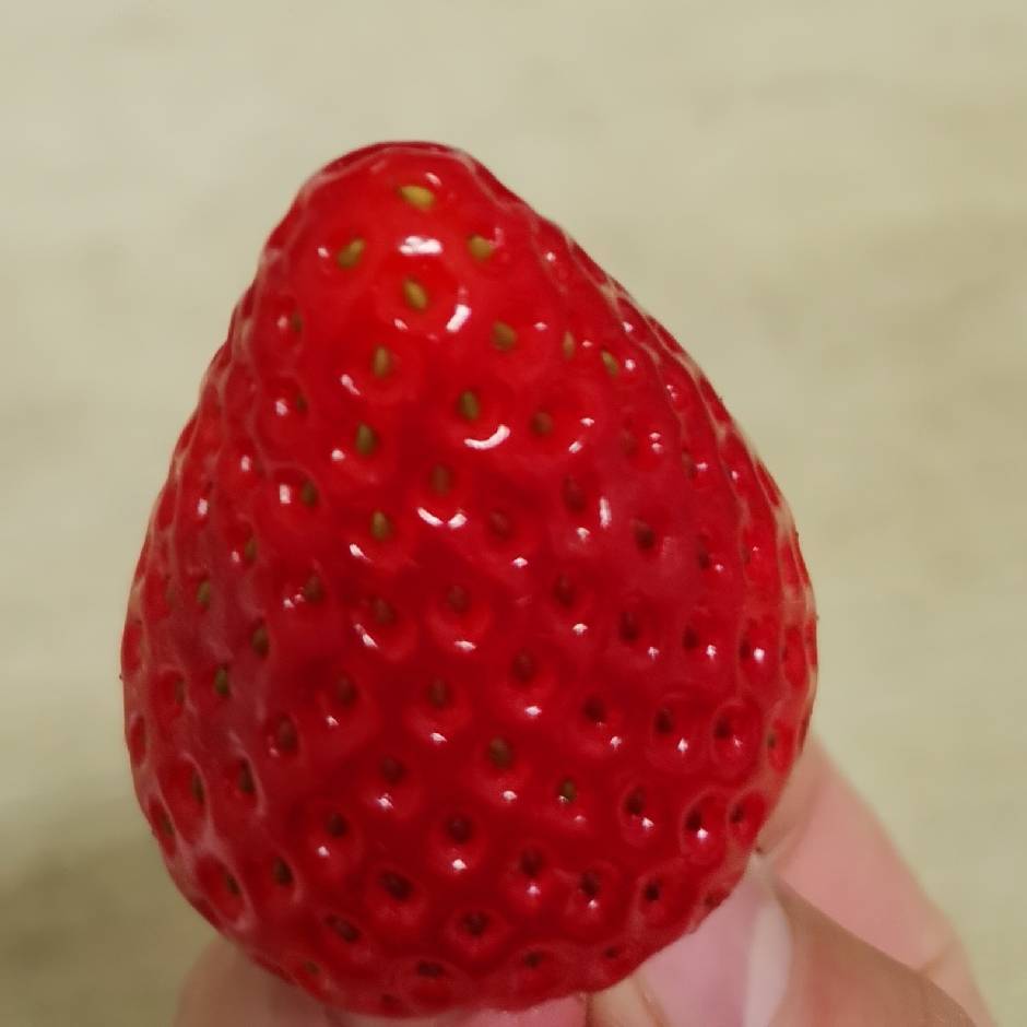 用戶頭像