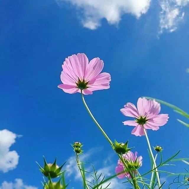 王钟