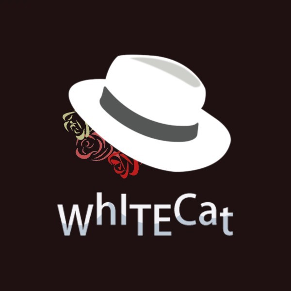 WhITECat安全团队
