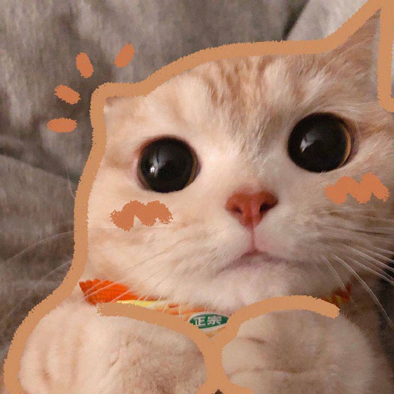用戶頭像