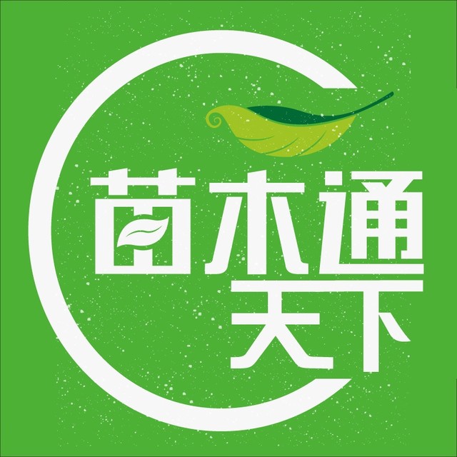 苗木通天下