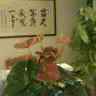 生活需要磨练,人生更需要顿悟! - 怀旧.梦缘 - 怀旧.梦缘 生活需要磨练,人生更需要顿悟! - 怀旧.梦缘 - 怀旧.梦缘