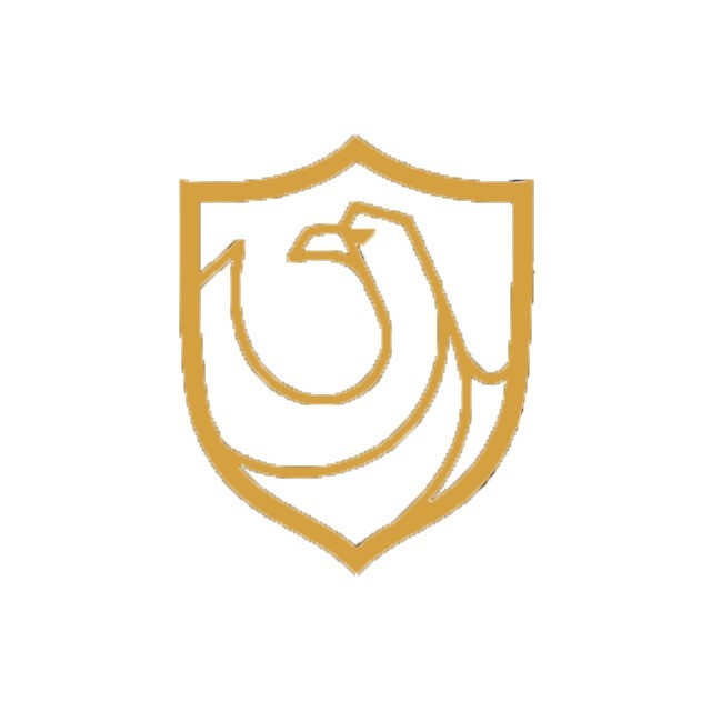 中龙红客突击队