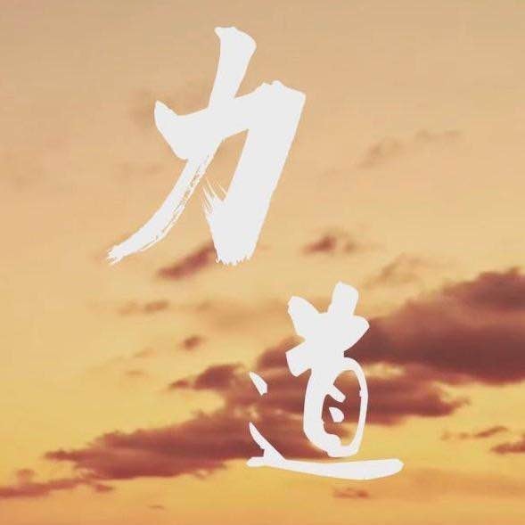 上海力道