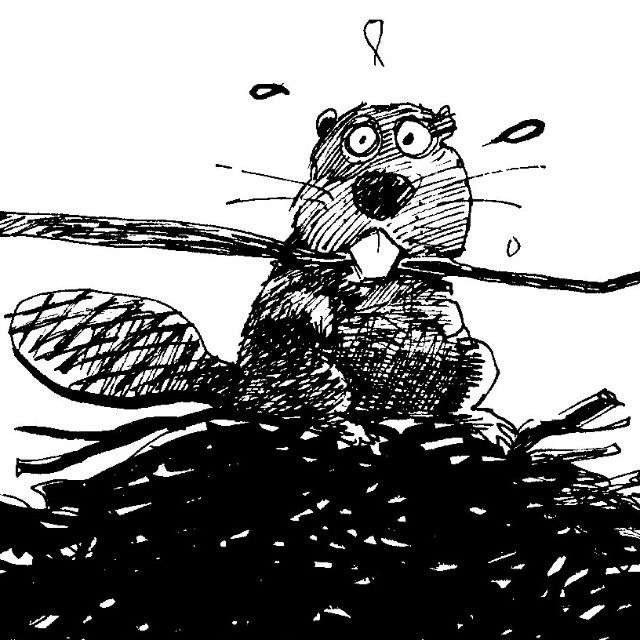 现代质量备份号