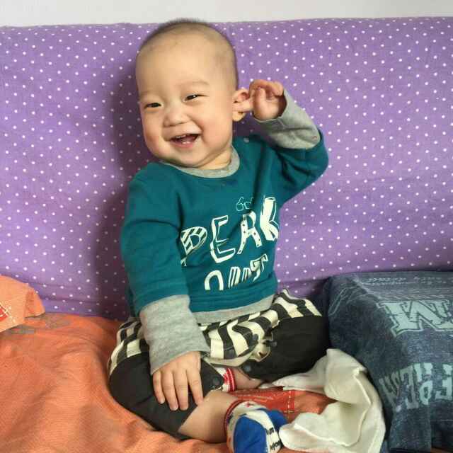 淘宝胖刺儿家宠物用品