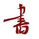 作者头像