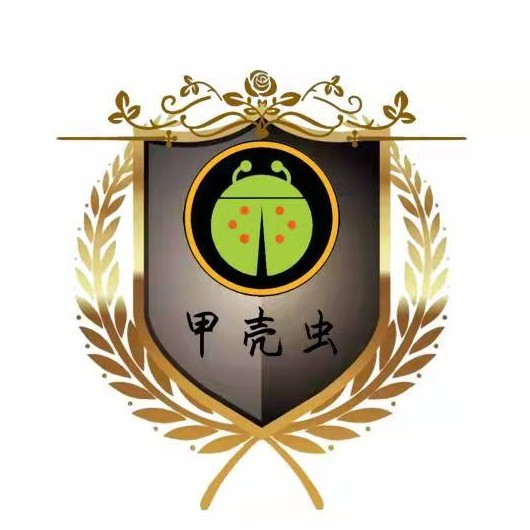 甲壳虫安全团队