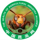 中国昆虫网