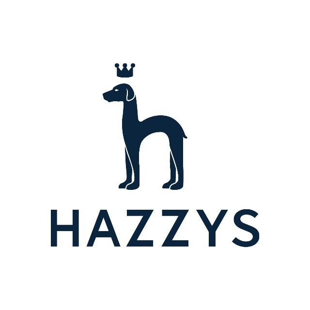 HAZZYS