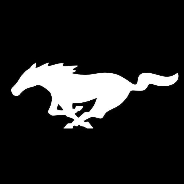 福特MUSTANG