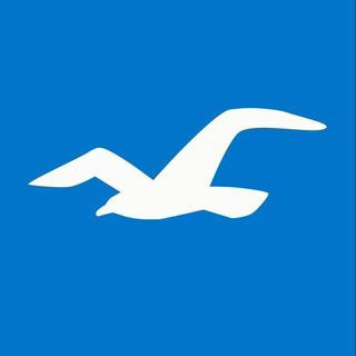 HollisterCo