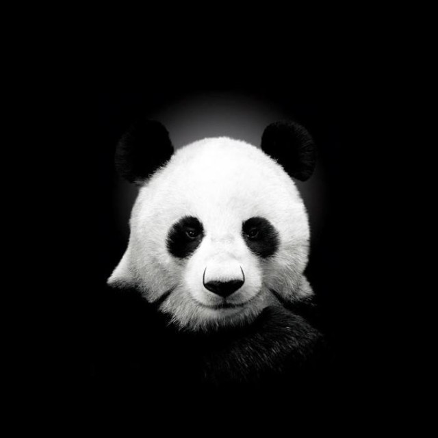 网络侦查研究院