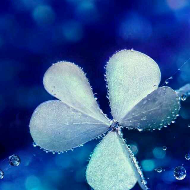 书友20170722094032