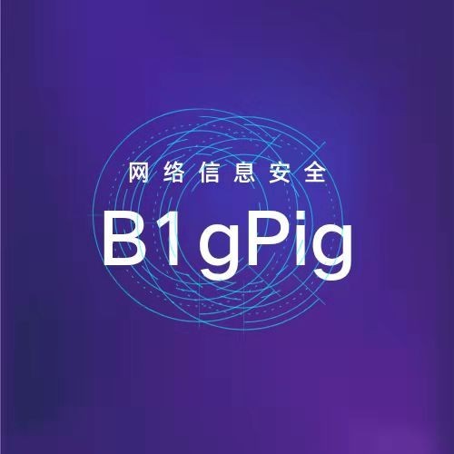 b1gpig信息安全