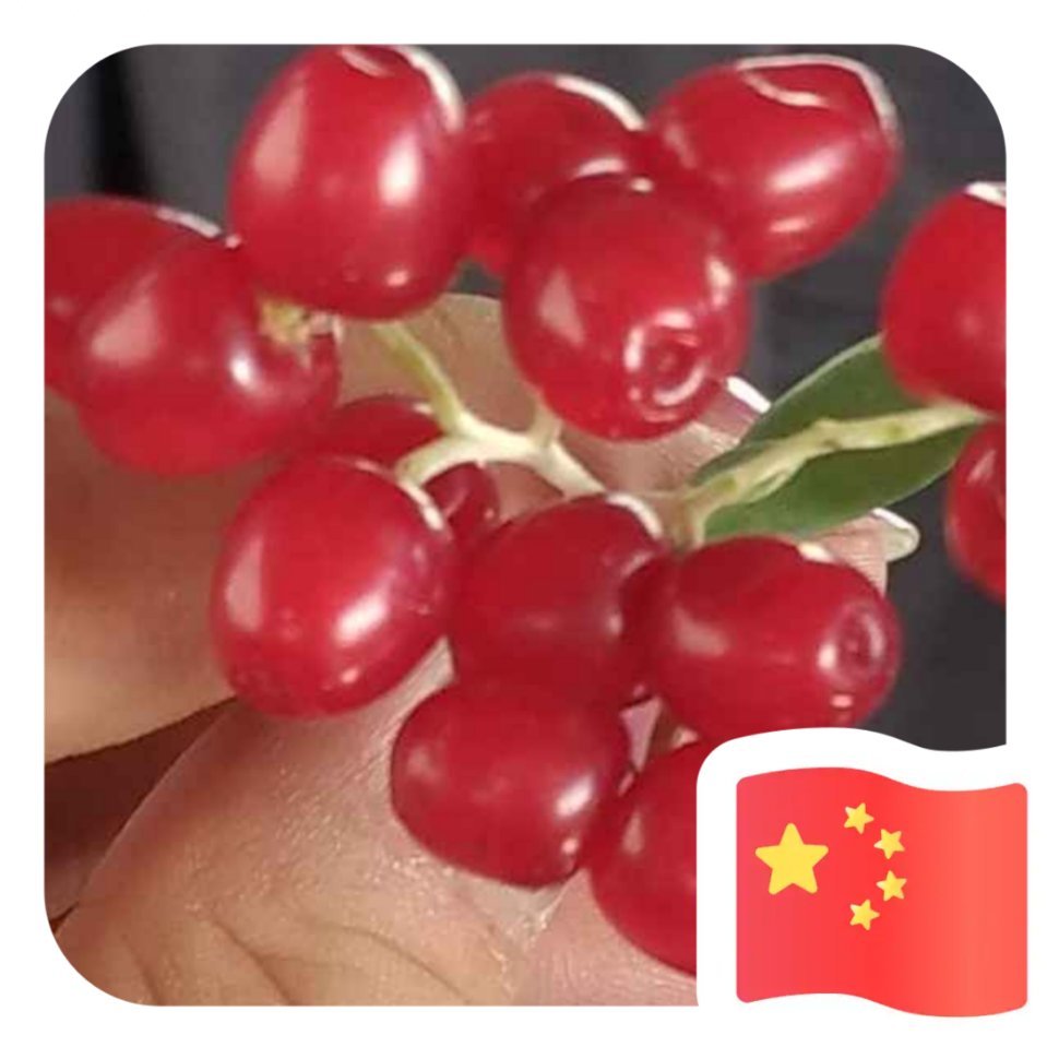 用戶頭像