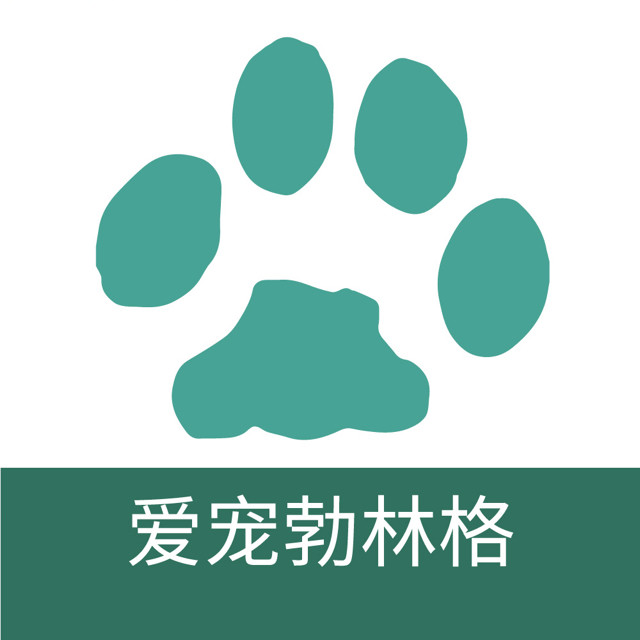 爱宠勃林格