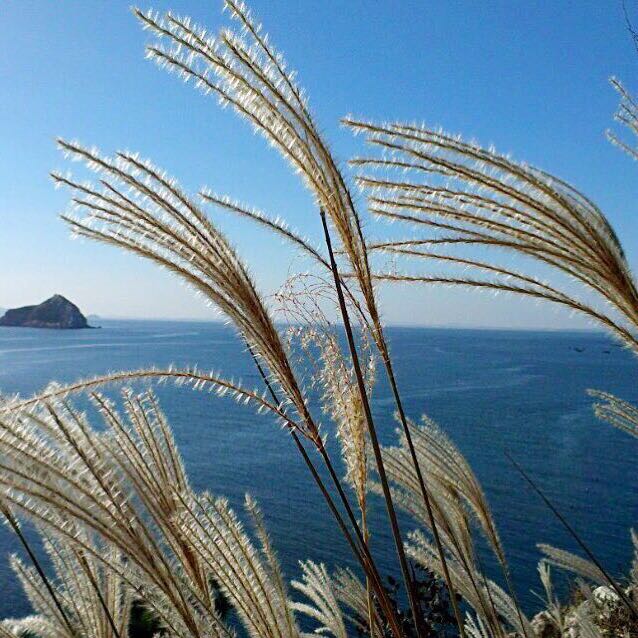 用戶頭像