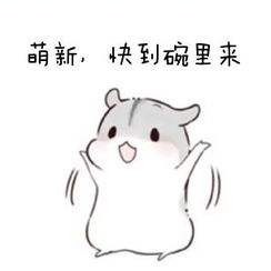 萌新学网络安全