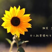 每天进步一点点