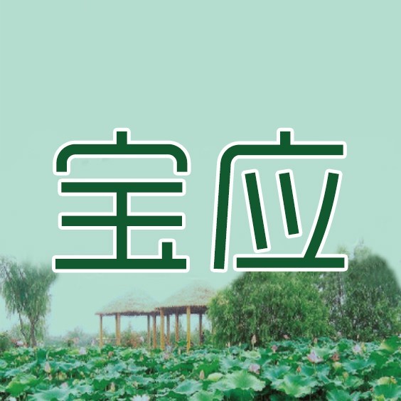 名城宝应网