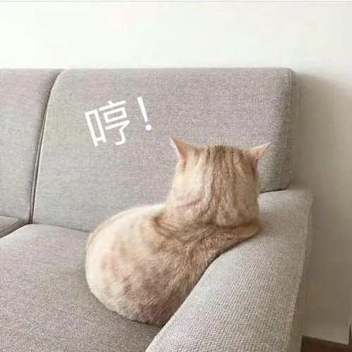 用戶頭像
