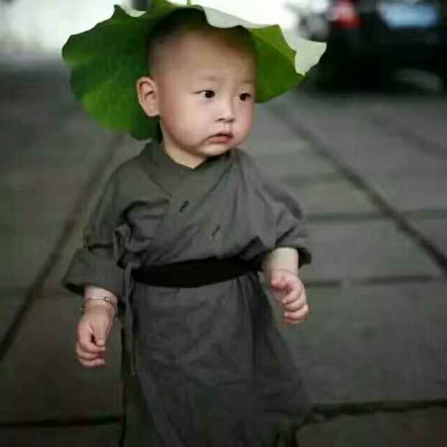 小海豚_39102969