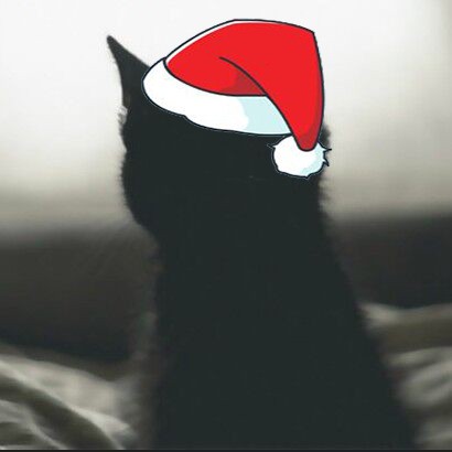 小黑的安全笔记