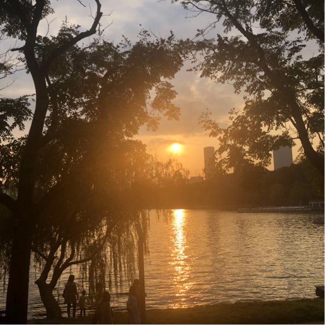 安全圈的翻译官