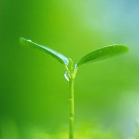 网络安全等保测评