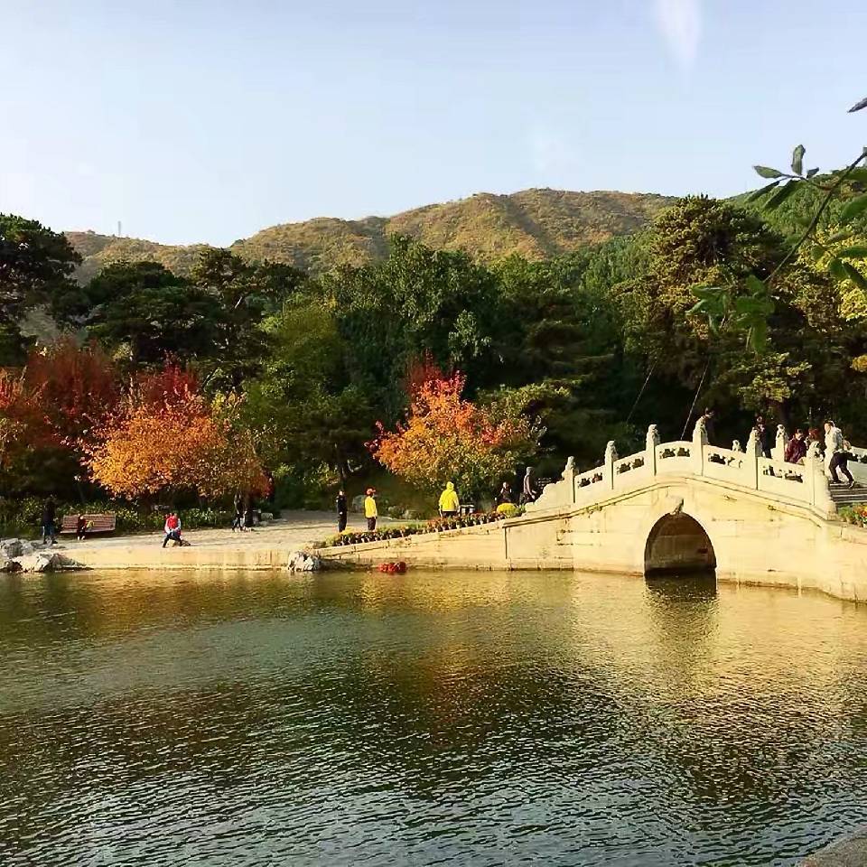 用戶頭像