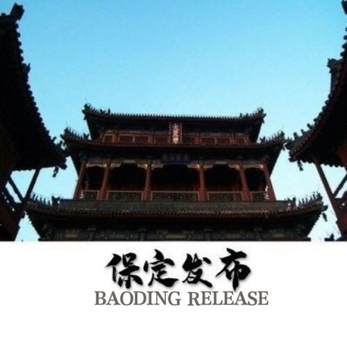 保定发布
